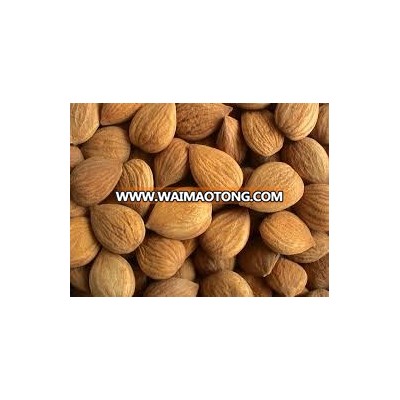 Grade A Apricot Kernels