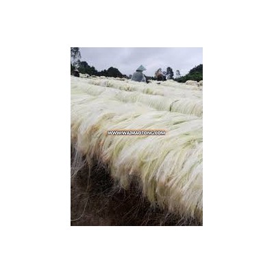 Sisal Manufacturers Hot Sale Hemp Fiber 2016 Hot sellling FROM THIALAND